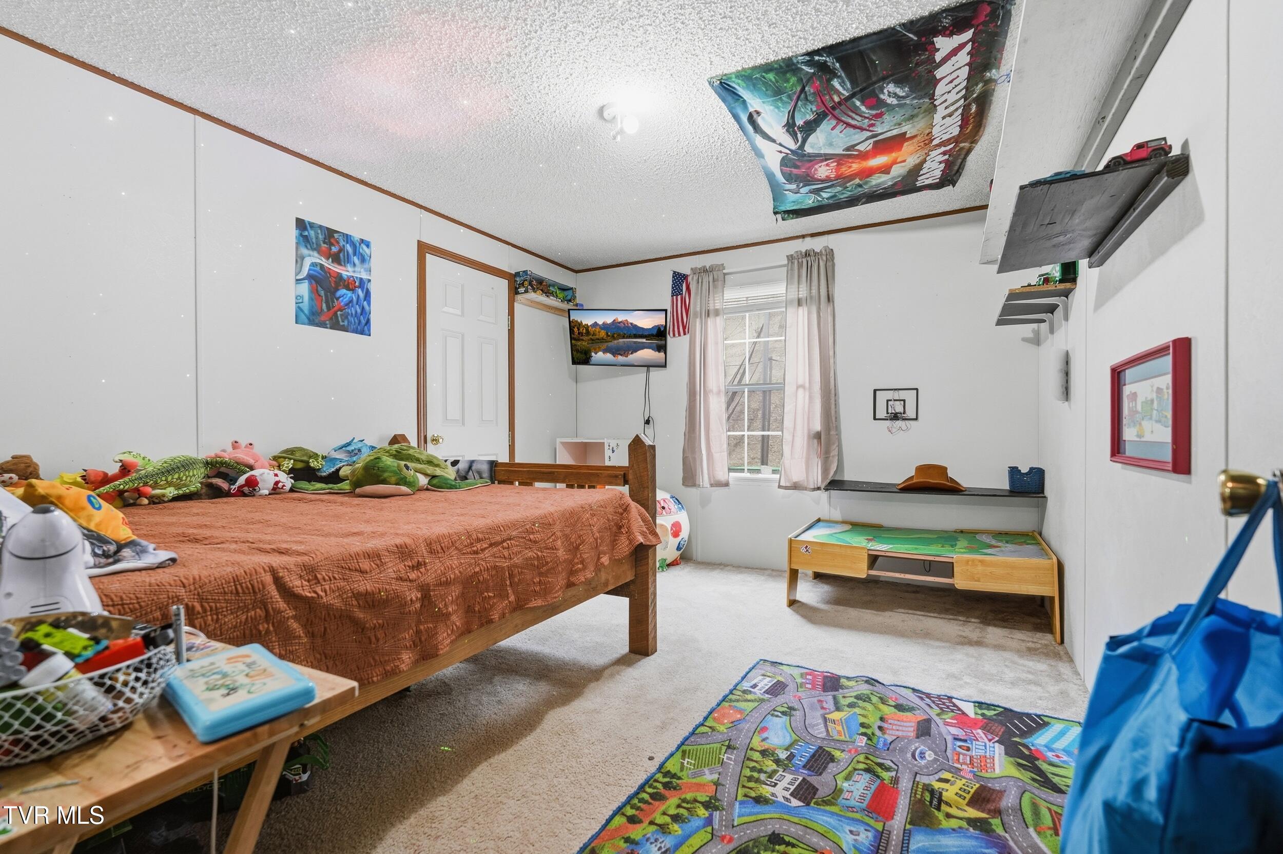 305 Browders Chapel Road Hiltons, VA 24258 - Photo 17 of 36 17_dsc07903