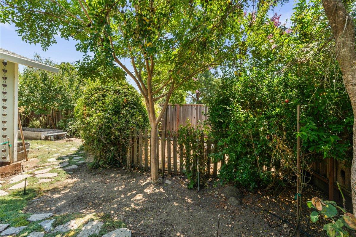 115 Hames Road Watsonville, CA 95076 - Photo 31 of 32 a view of a yard with plants and large trees