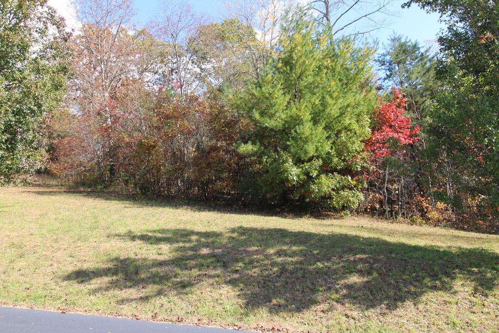 Lot 17 Old Taylors Ferry Ridge Murphy, NC 28906 - Photo 3 of 10