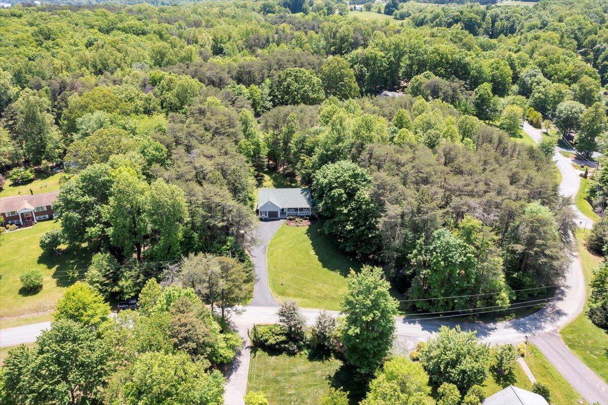 990 Highland Lake Road Union Hall, VA 24176 - Photo 3 of 58 40-DJI_0980