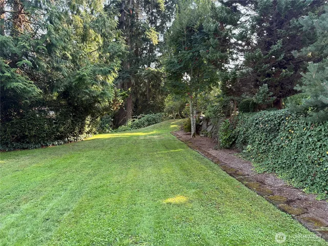 a view of a trees with a yard