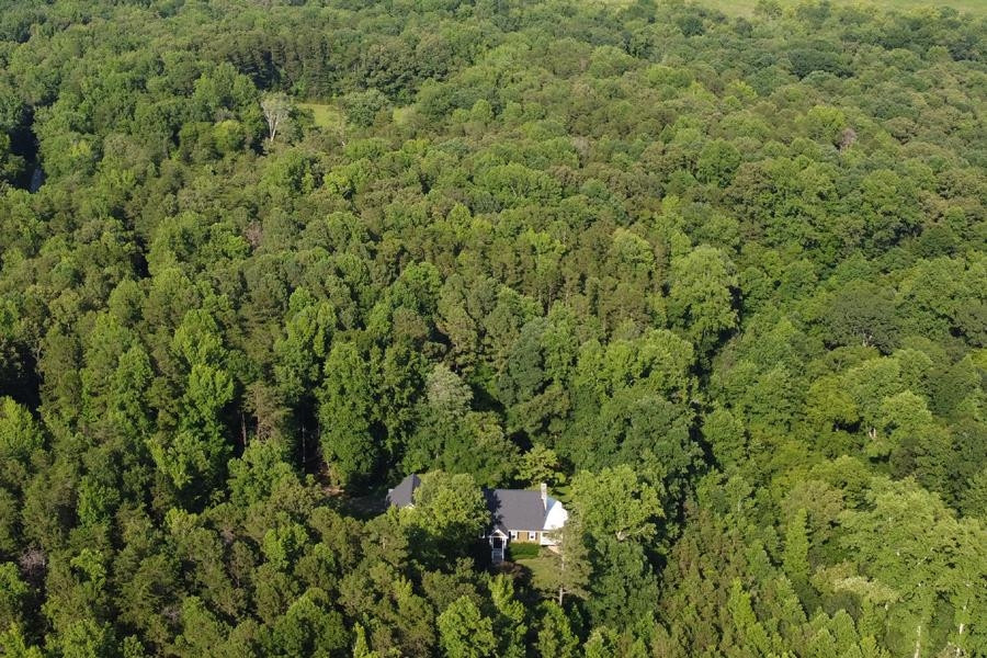 544 Lockamy Road Timberlake, NC 27583 - Photo 47 of 47 a view of a lush green forest