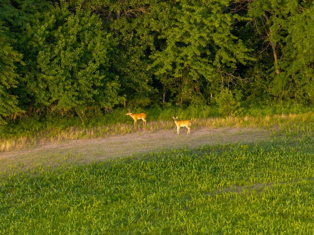 Northeast Marshall Road Hamilton, MO 64644 - Photo 42 of 45