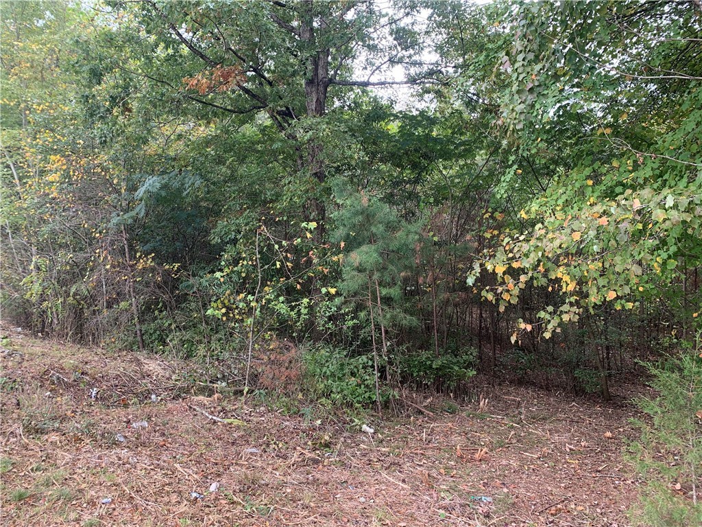 0 North Burns Mill Road West Union, SC 29696 - Photo 1 of 5 Gallery Image 1