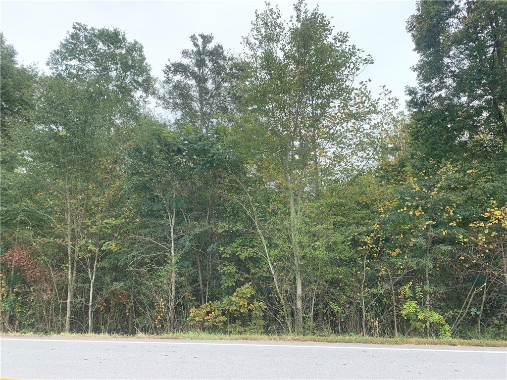 0 North Burns Mill Road West Union, SC 29696 - Photo 2 of 5 Gallery Image 2
