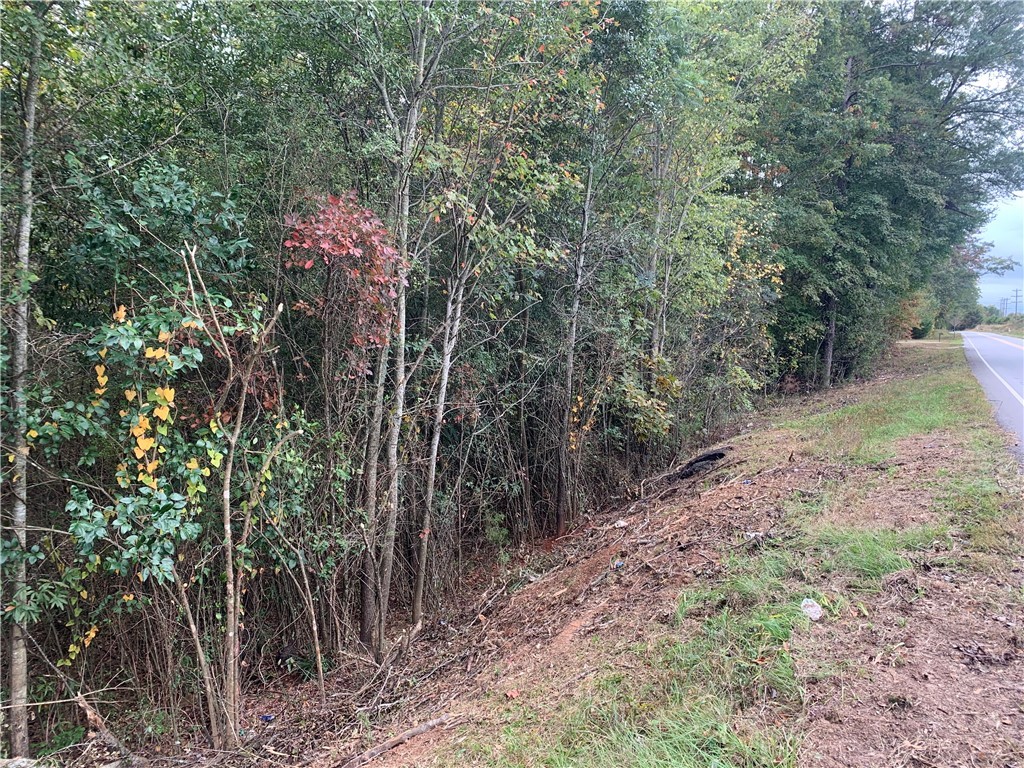 0 North Burns Mill Road West Union, SC 29696 - Photo 3 of 5 Gallery Image 3