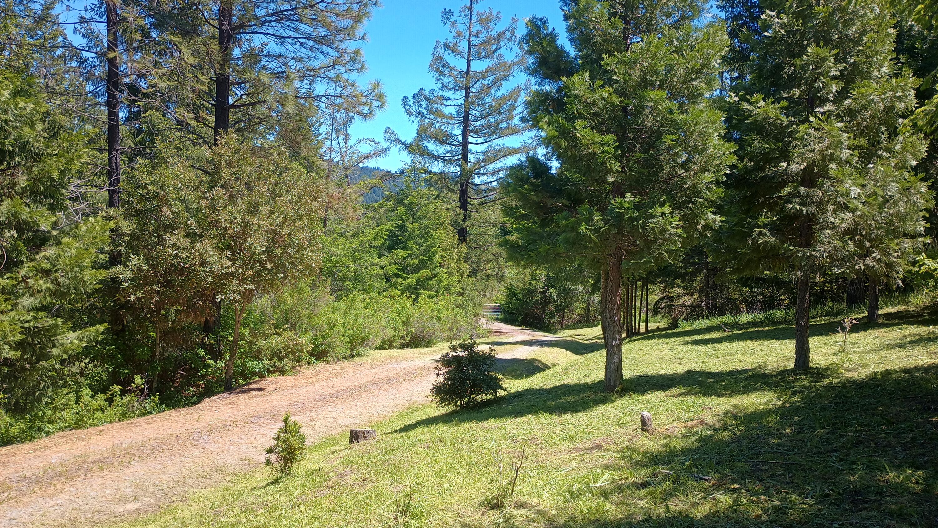 3951 Upper Thomas Early Ranch Road Miranda, CA 95553 - Photo 50 of 57