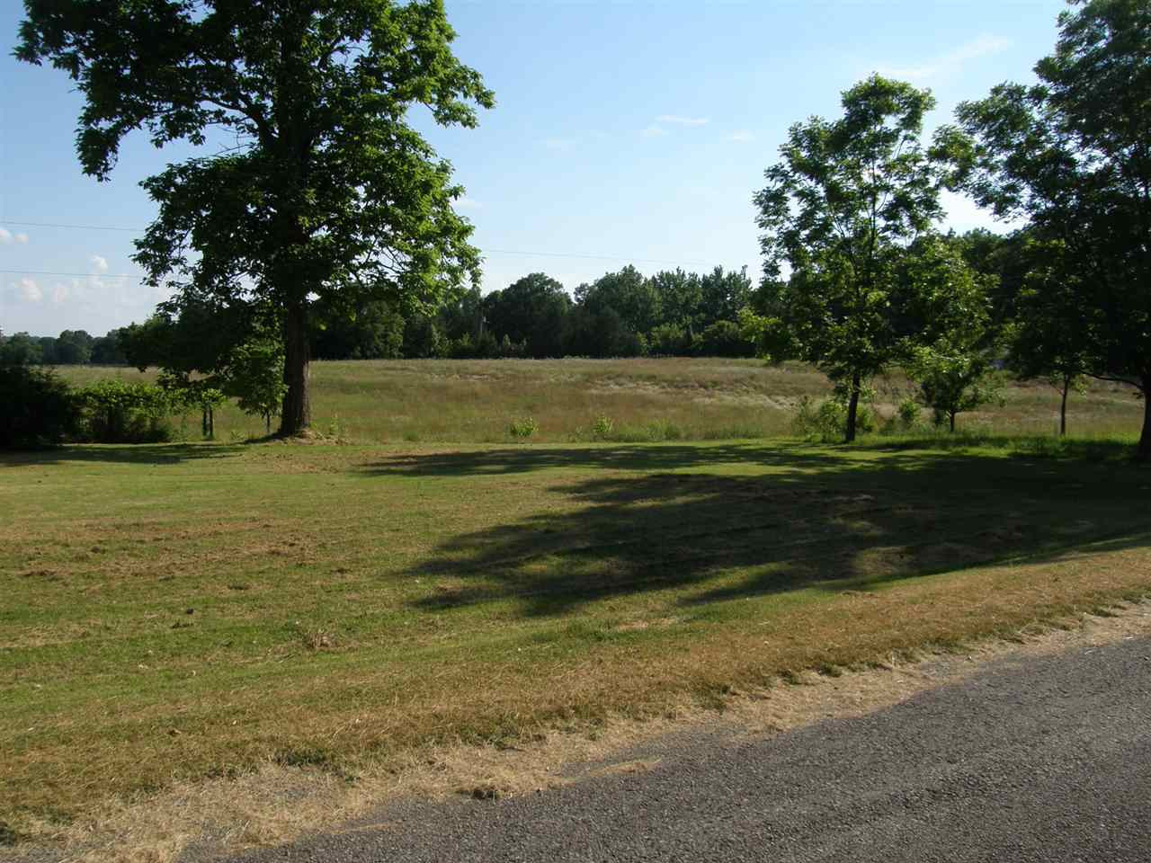 1335 Hutton Road Sardis, TN 38371 - Photo 4 of 16 Photo 4
