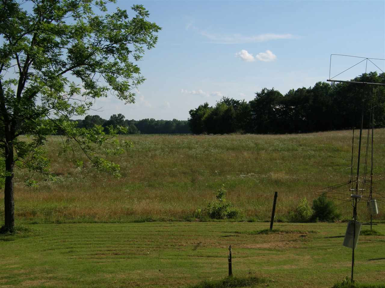 1335 Hutton Road Sardis, TN 38371 - Photo 5 of 16 Photo 5