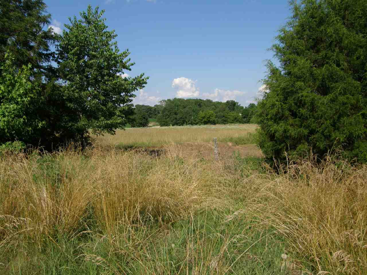1335 Hutton Road Sardis, TN 38371 - Photo 7 of 16 Photo 7