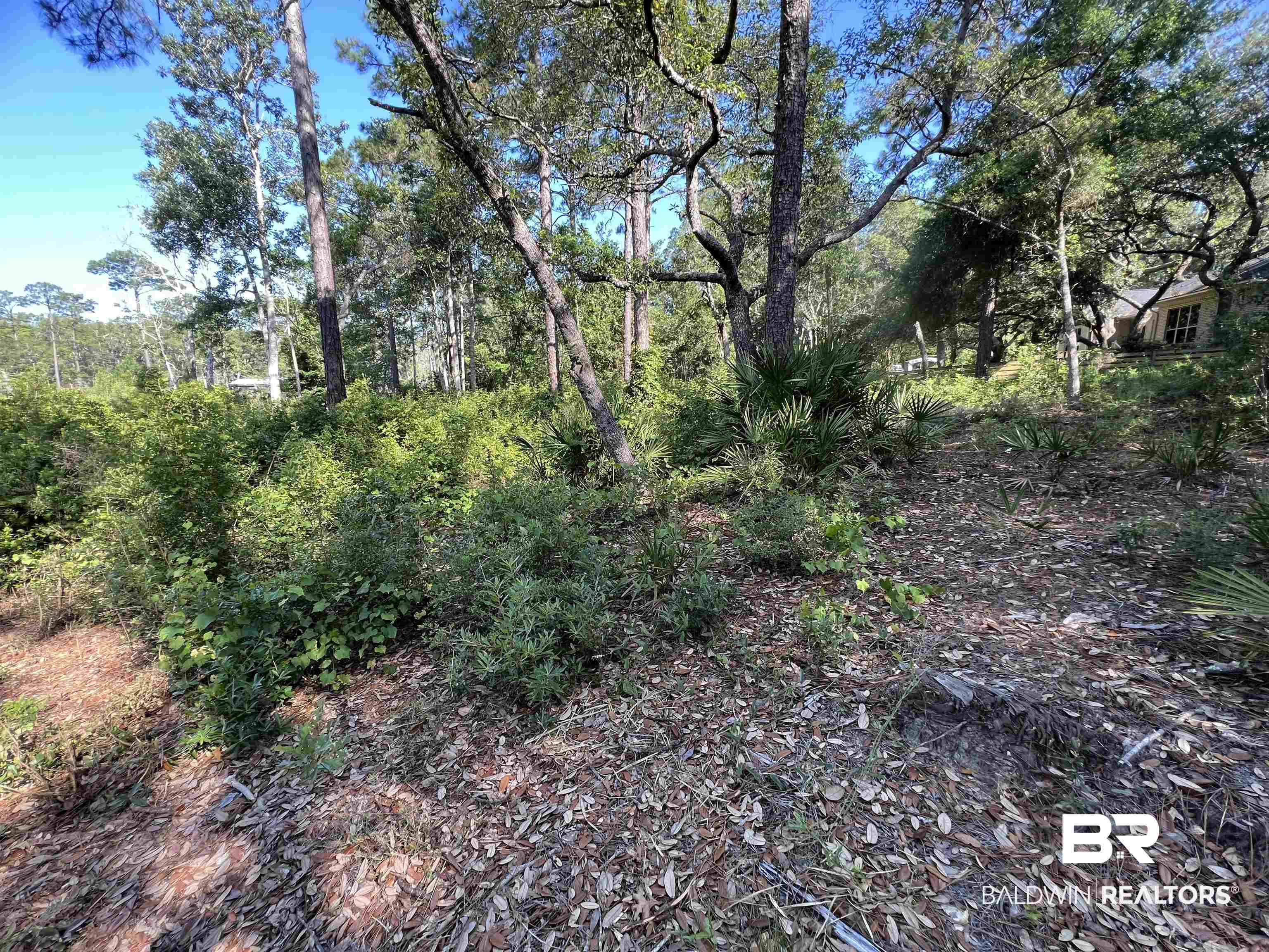 9545 North Bayou Road Lillian, AL 36549 - Photo 20 of 34 View of nature