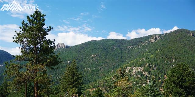 7795 Severy Road Cascade, CO 80809 - Photo 3 of 4