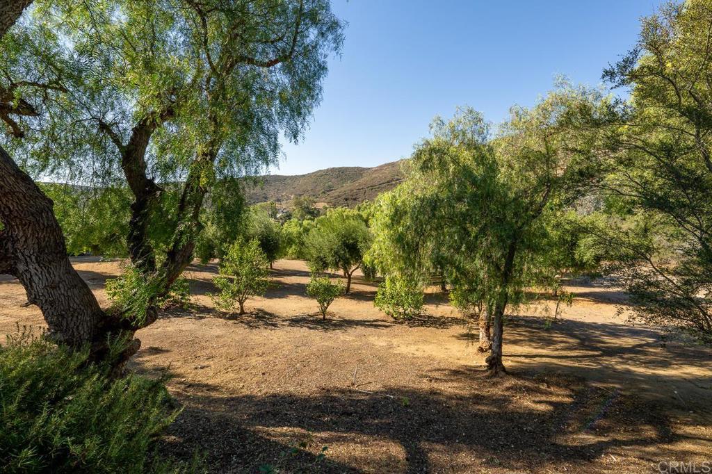 3762 Hidden Ridge Road Jamul, CA 91935 - Photo 26 of 29 a view of a park with large trees