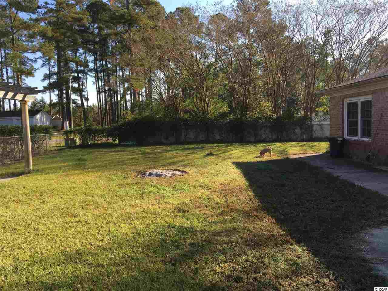 67 Azalea Drive Hemingway, SC 29554 - Photo 4 of 12 Gallery Image 4