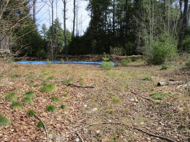 204 Cornwell Road Greenfield, NH 03047 - Photo 5 of 26