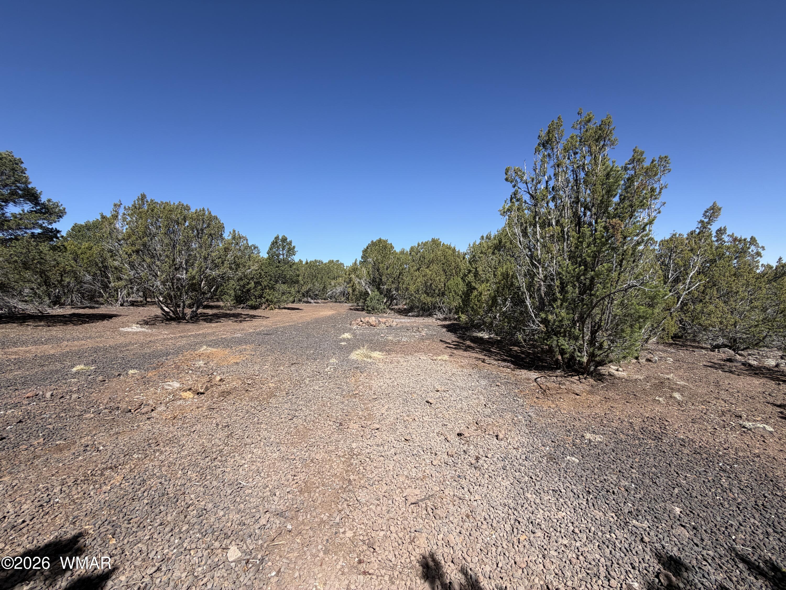Lot 199th Lot 199th Road Show Low, AZ 85901 - Photo 2 of 2 IMG_6451