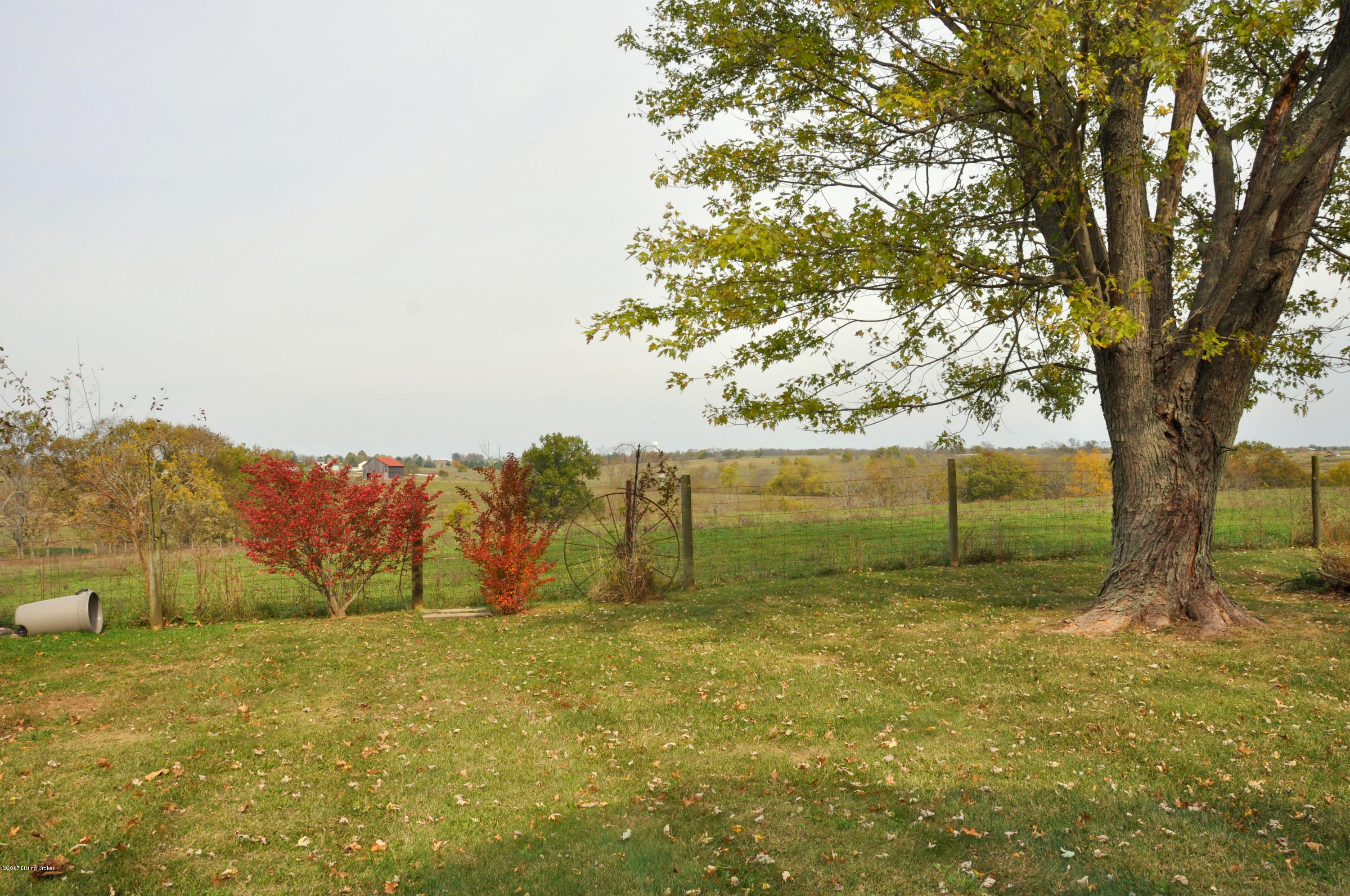 294 Drennon Road New Castle, KY 40050 - Photo 24 of 32 DSC_0493