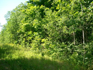 Tbd Old Orch Road Ellison Bay, WI 54210 - Photo 1 of 1