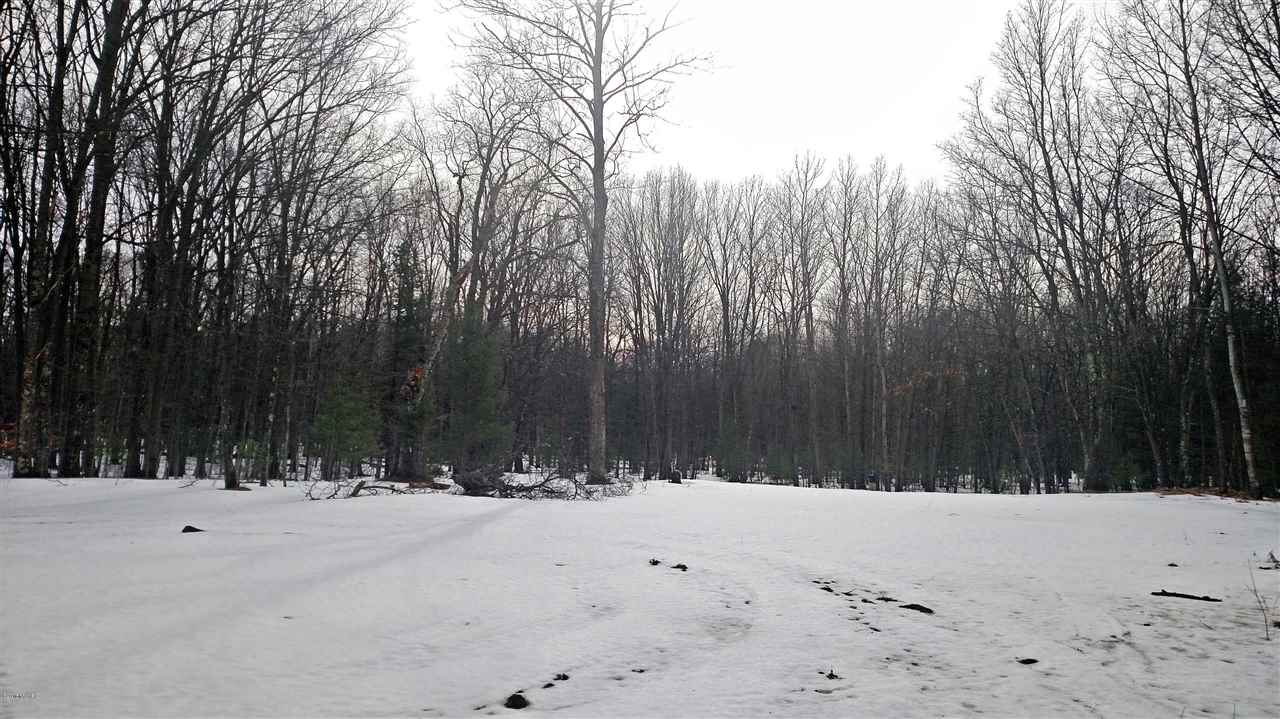 Morton Road, Unit 195 Free Soil, MI 49411 - Photo 11 of 22