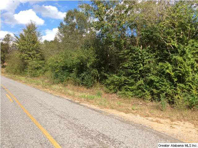 0 Glade Road, Unit 9 Talladega, AL 35160 - Photo 4 of 7