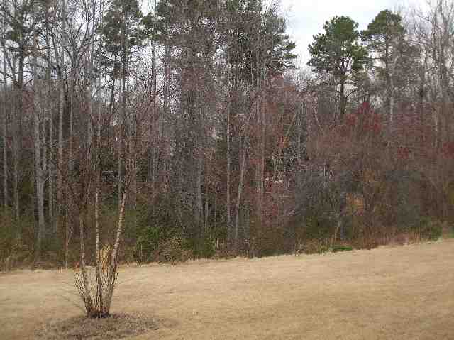 345 Ascot Ridge Lane Greer, SC 29650 - Photo 11 of 20 Gallery Image 11