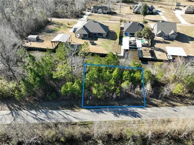 $29,900 | Lot 54 Swamp Drive, Springfield, LA 70462