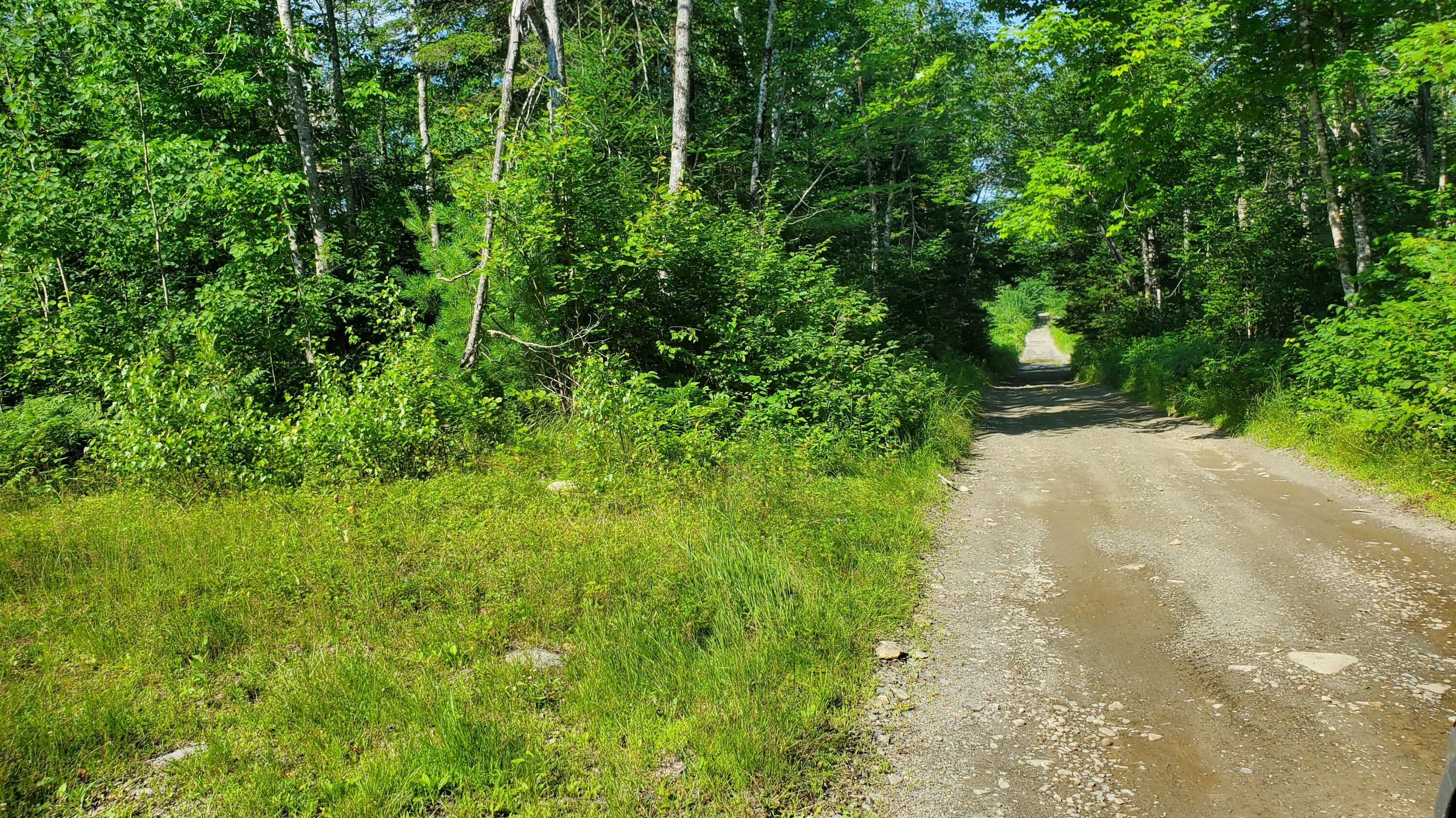 202 Lower Cross Road Hudson, ME 04449 - Photo 4 of 44 20240717_093325