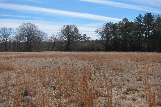 16142 Midway Road Terry, MS 39170 - Photo 23 of 26 Photo 23