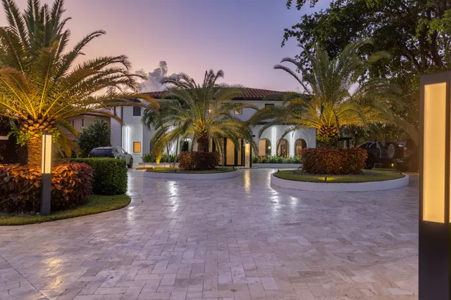 a view of a yard with plants and trees