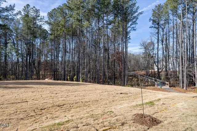 a street view covered with snow
