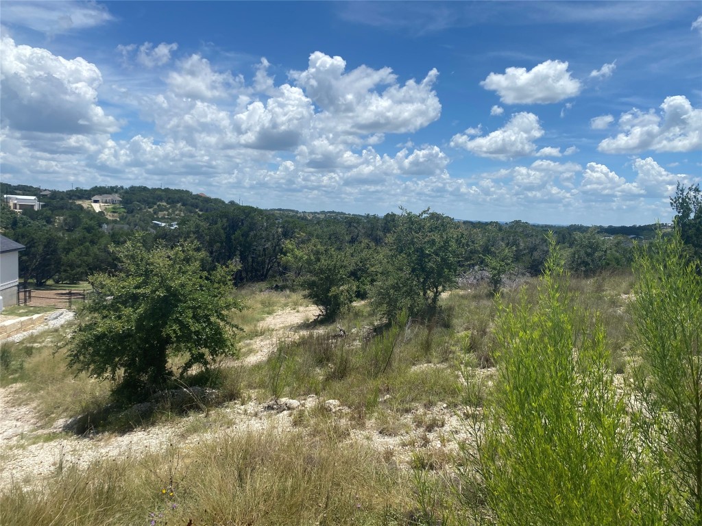 241 Magnolia Meadow Spring Branch, TX 78070 - Photo 2 of 3 a view of a lake in middle of forest