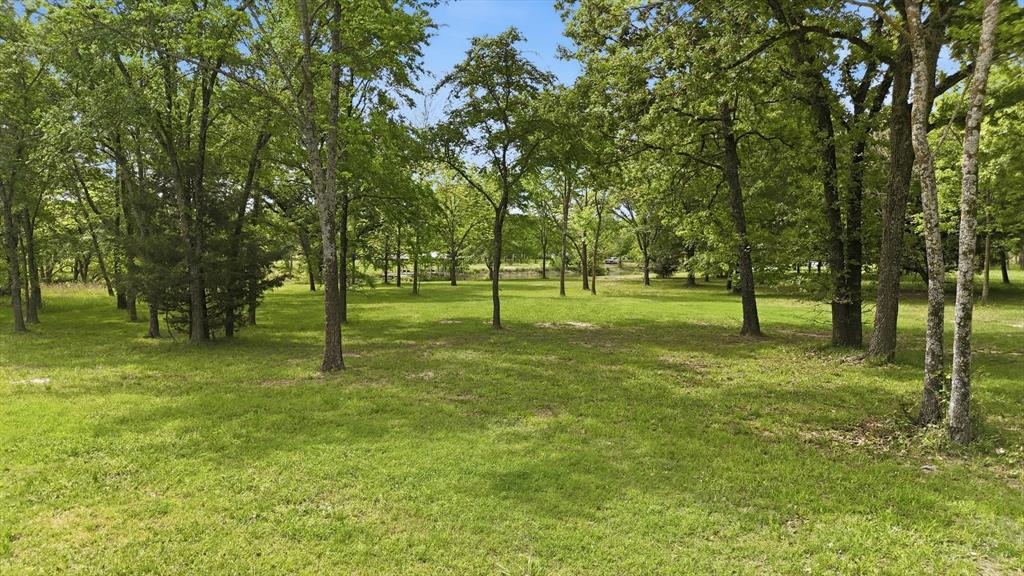 7366 Point Aquarius Quinlan, TX 75474 - Photo 8 of 30 a view of a tree in a park