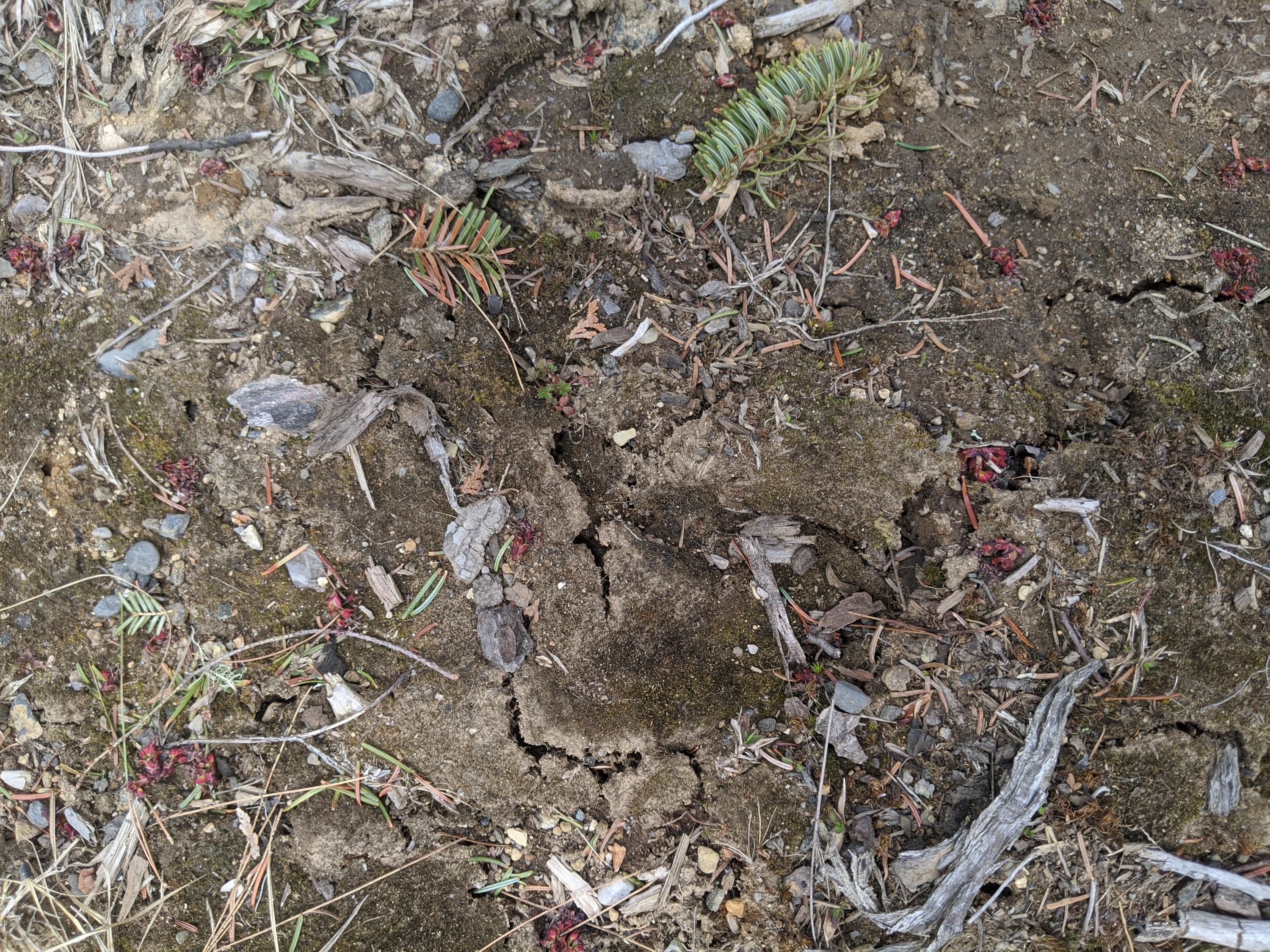 0 State Park Road Dover-Foxcroft, ME 04426 - Photo 5 of 29 IMG_20210429_121342