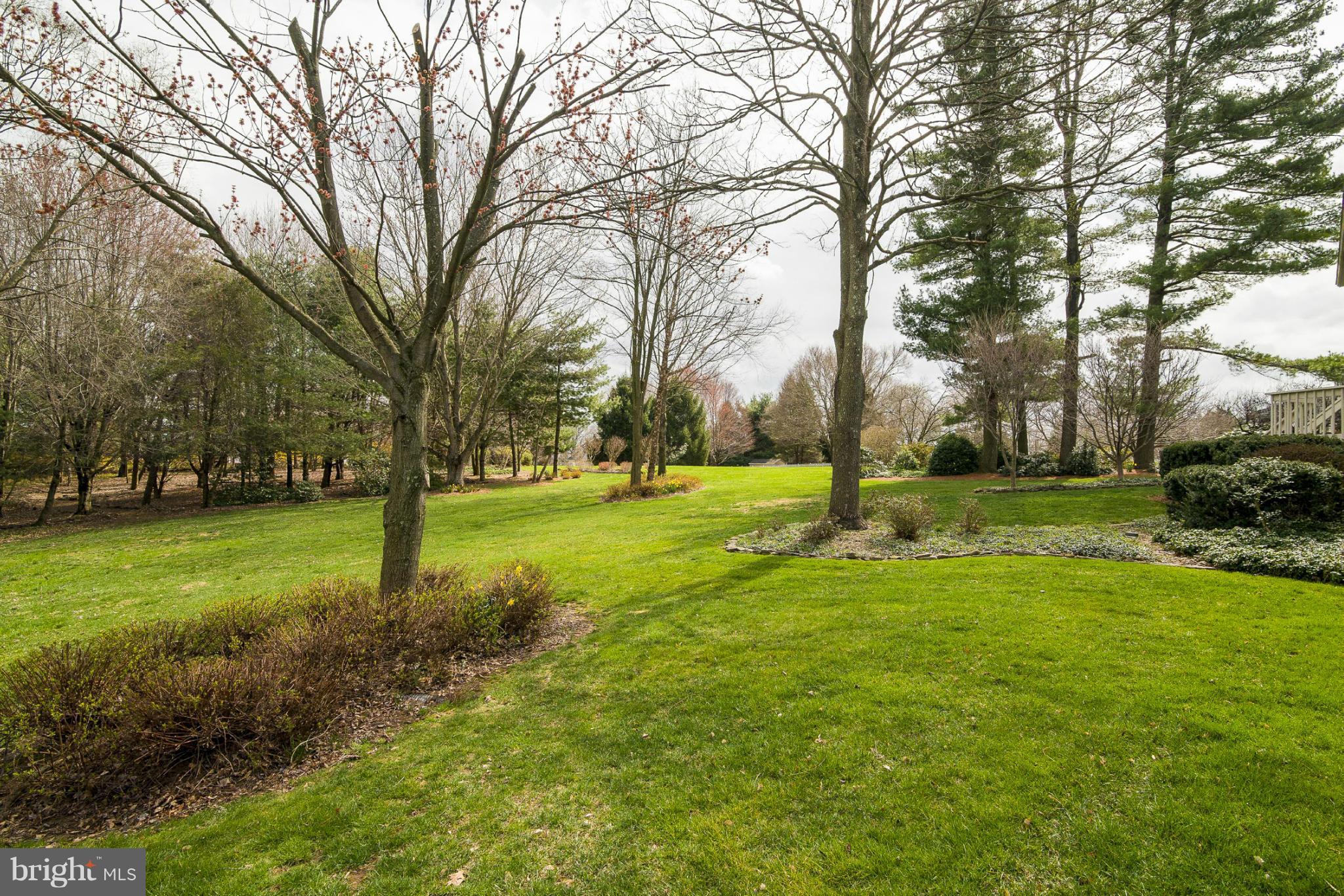 1705 Campbell Road Forest Hill, MD 21050 - Photo 29 of 30 Spacious Level Back Yard