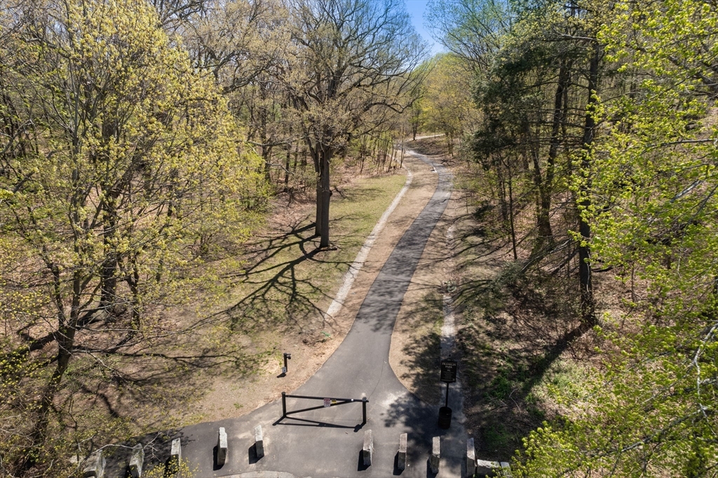 91 Glen Road, Unit 2 Boston, MA 02130 - Photo 26 of 31 a yard with tall trees