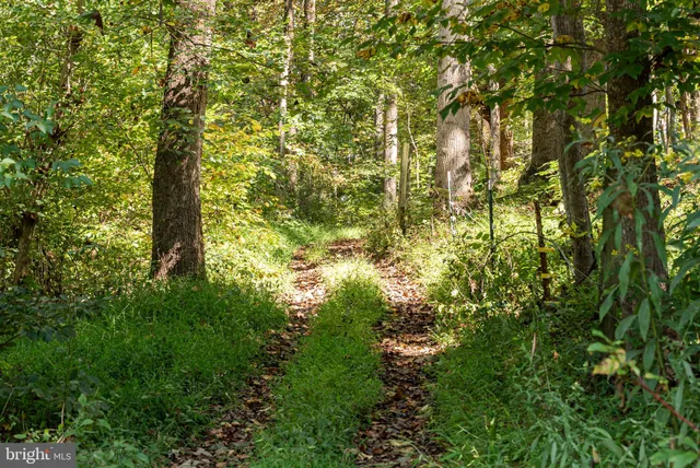 $999,000 | 3225 Sage Road, Markham, VA 22643