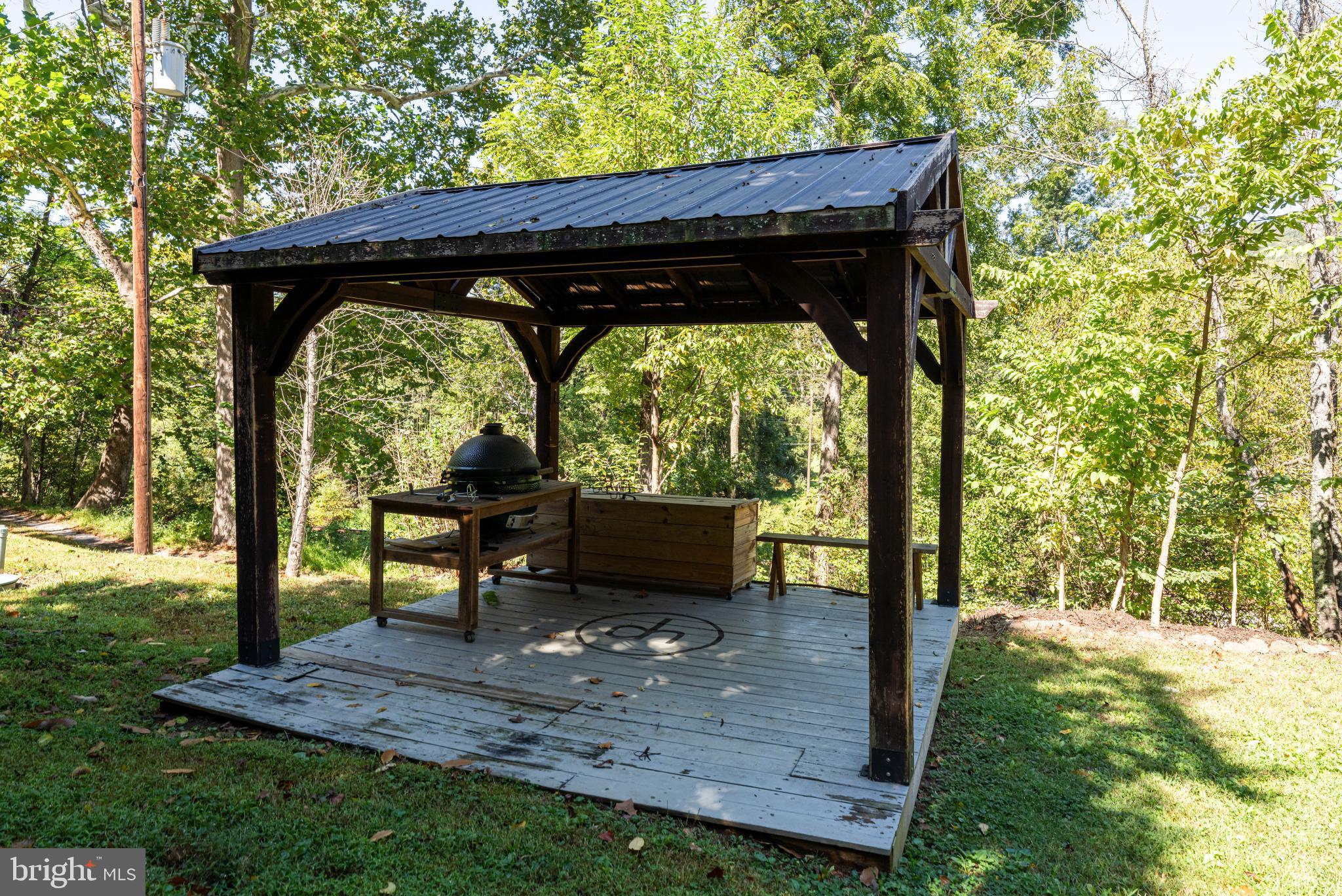 3225 Sage Road Markham, VA 22643 - Photo 47 of 48 Outdoor bbq area