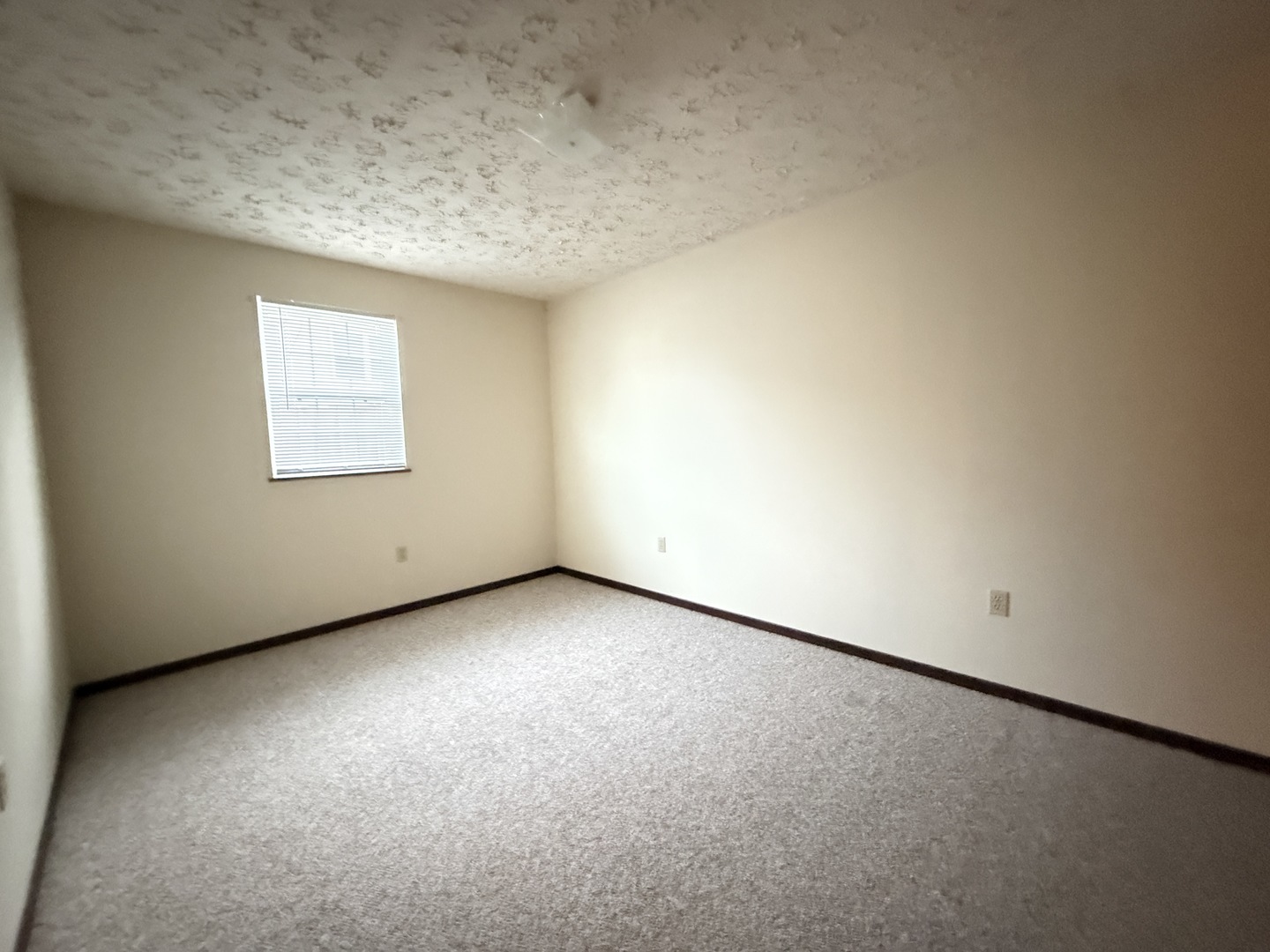 916 South 10th Street Herrin, IL 62948 - Photo 12 of 29 an empty room with a workbench