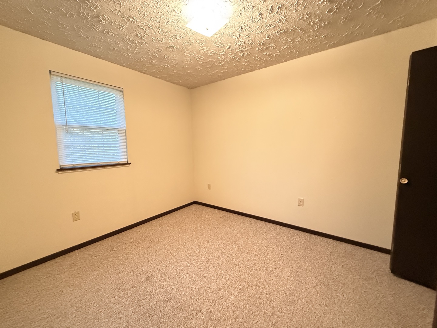 916 South 10th Street Herrin, IL 62948 - Photo 10 of 29 a view of an empty room