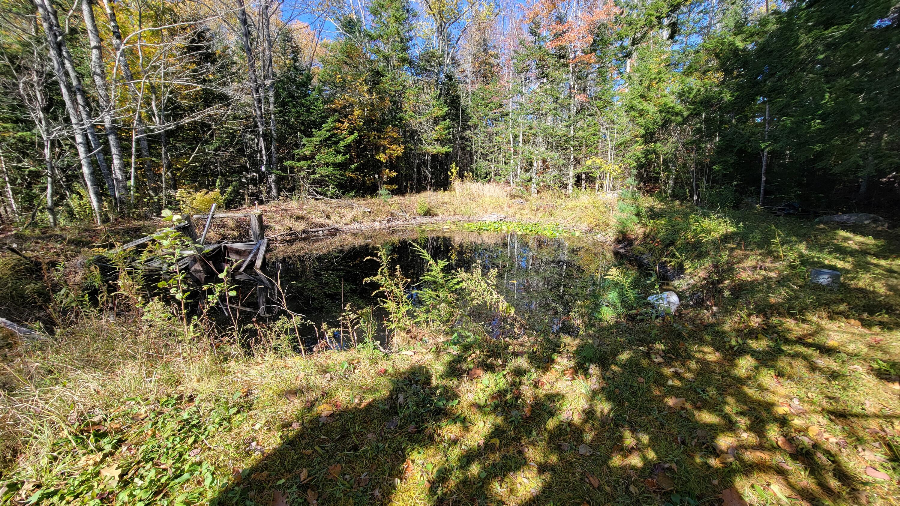 25 Moose Hl Road Ellsworth, ME 04605 - Photo 19 of 19 Frog Pond