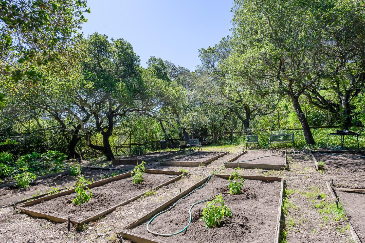 100 Robin Road Hillsborough, CA 94010 - Photo 69 of 90 a view of a backyard with table and chairs and a fire pit