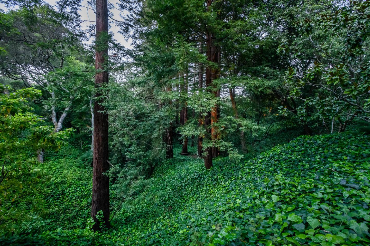 100 Robin Road Hillsborough, CA 94010 - Photo 85 of 90