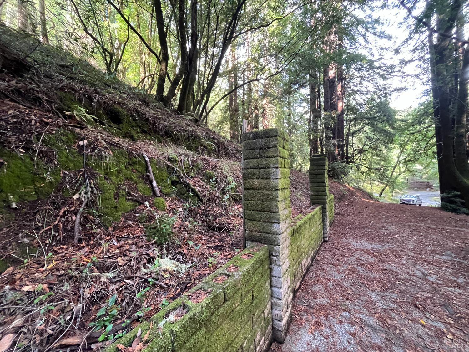 1355 Nicasio Valley Road Nicasio, CA 94946 - Photo 12 of 33