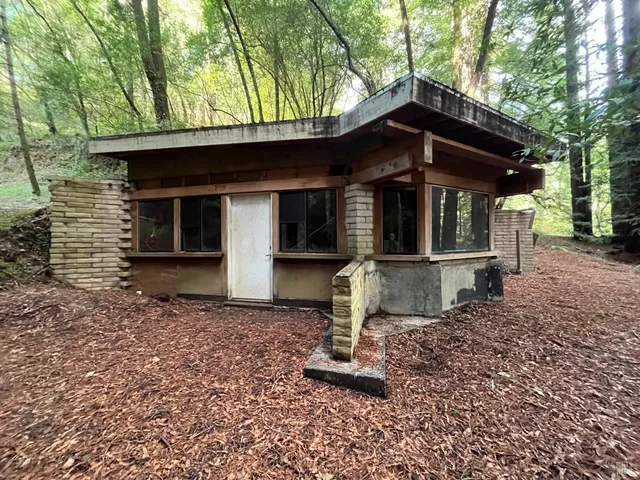 a view of a yard with large trees