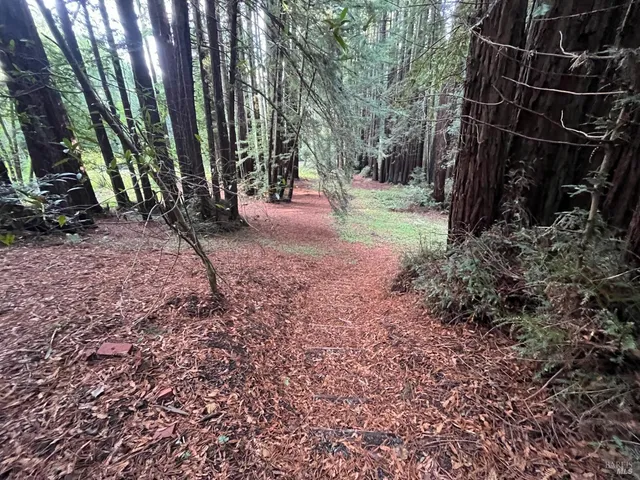 a view of a house with backyard and balcony