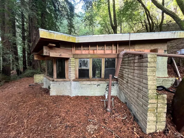 a view of a yard with trees