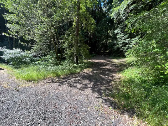 a big yard with flowing stream of water in middle
