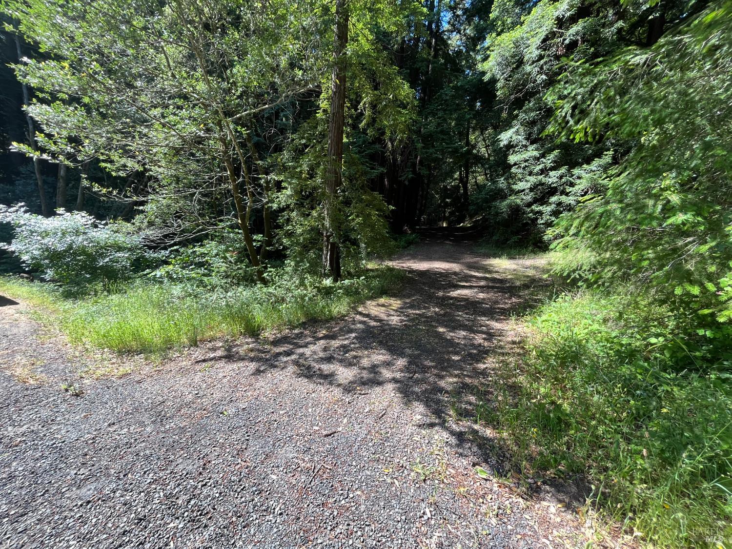 1355 Nicasio Valley Road Nicasio, CA 94946 - Photo 2 of 33 a big yard with flowing stream of water in middle
