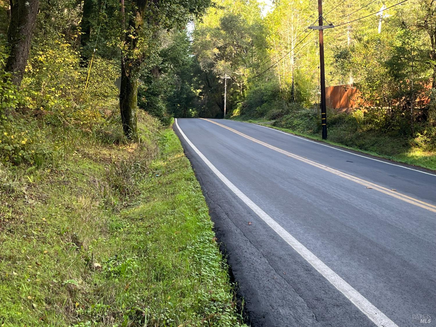 1355 Nicasio Valley Road Nicasio, CA 94946 - Photo 21 of 33 a view of a yard with plants and trees
