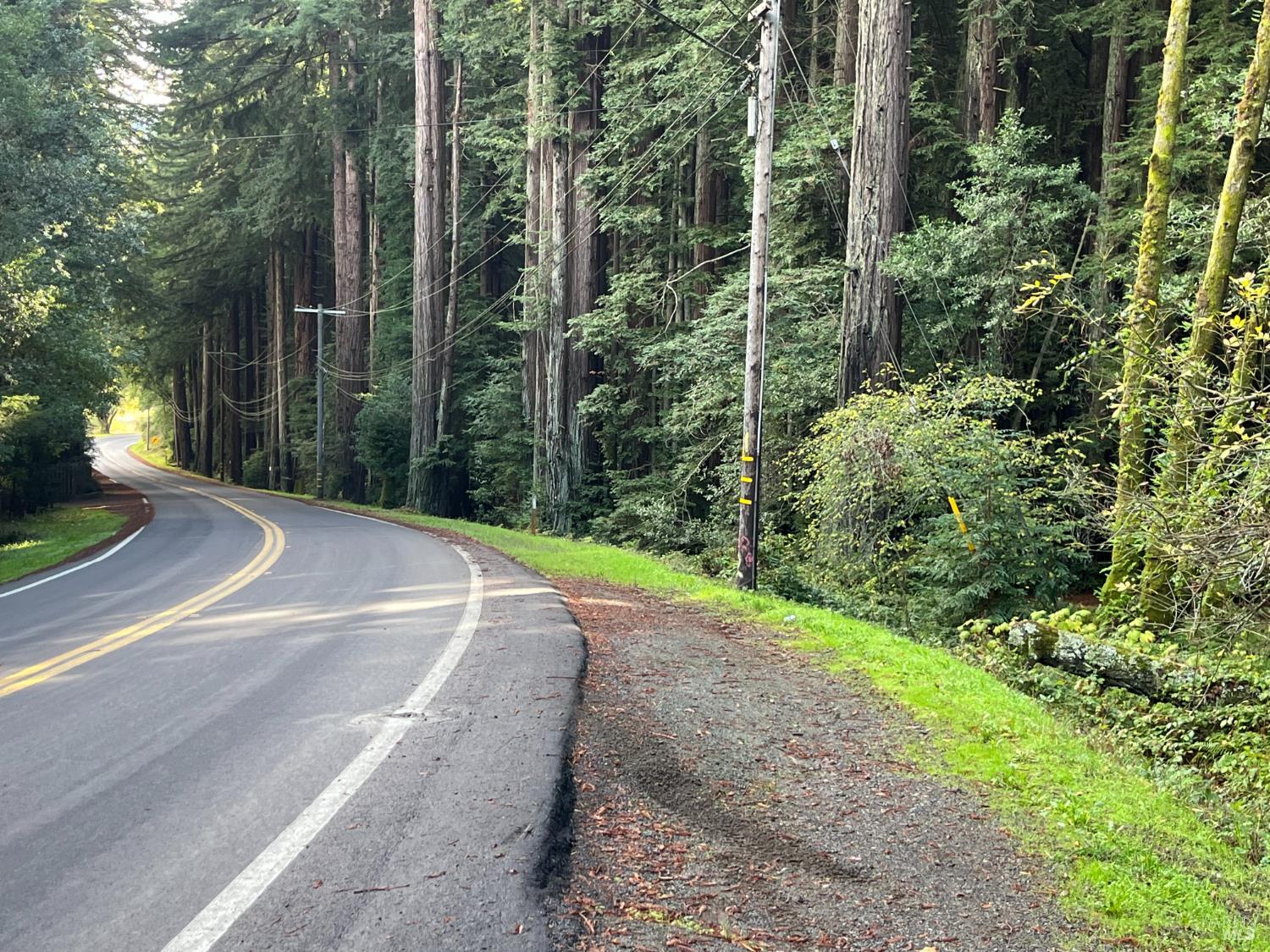 1355 Nicasio Valley Road Nicasio, CA 94946 - Photo 22 of 33 a view of a backyard